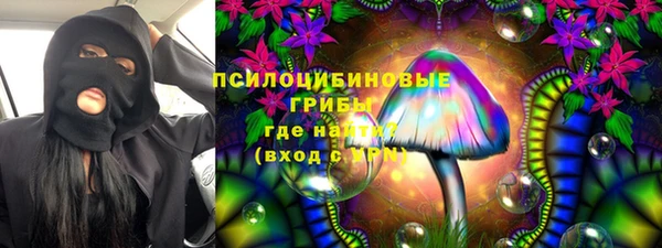 ГАЛЛЮЦИНОГЕННЫЕ ГРИБЫ Надым
