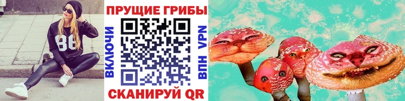 купить наркоту  Новопавловск  нарко площадка состав  Псилоцибиновые грибы прущие грибы  KRAKEN сайт 
